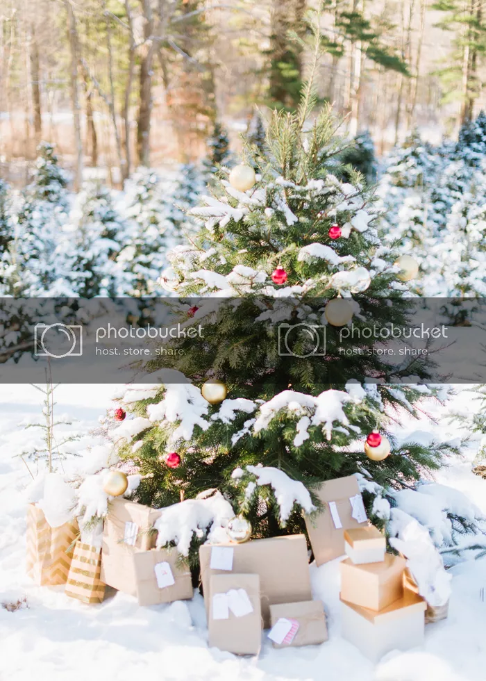 merry christmas - creative index