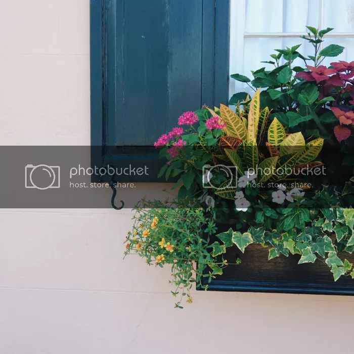  charleston photo ©Creative Index